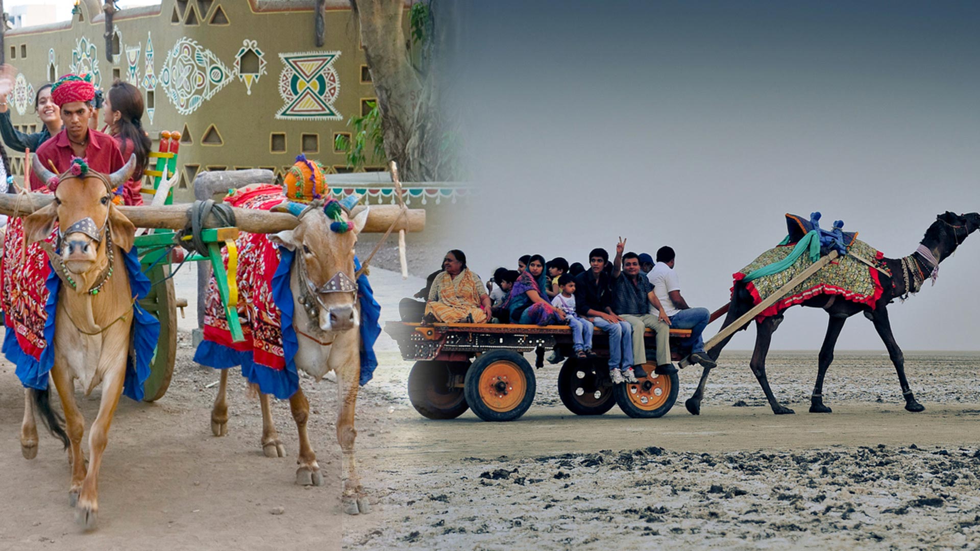 mode of transportation in rajasthan